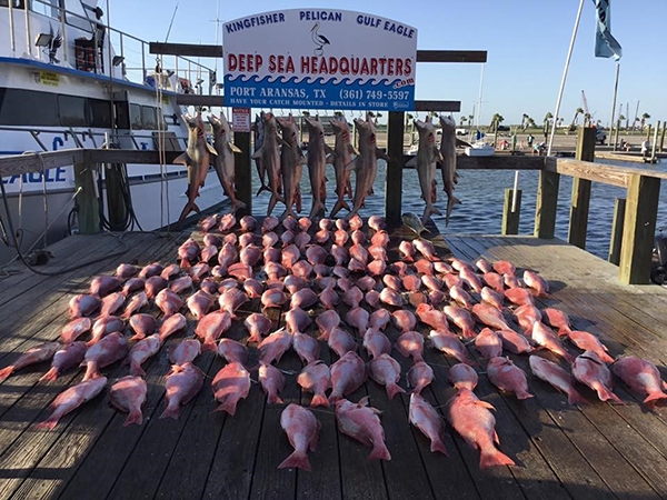 fishing trips port aransas texas