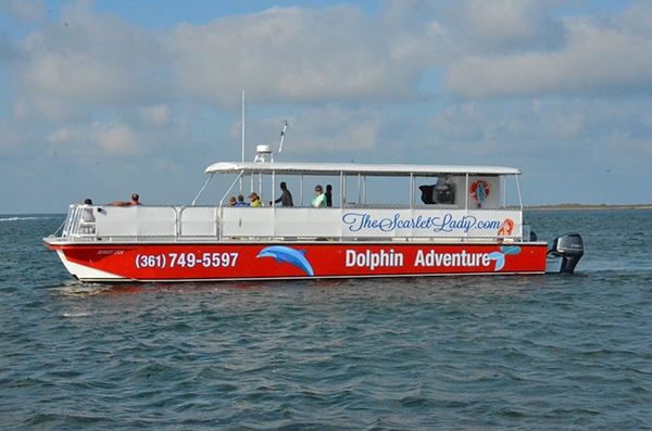 dolphin cruise rockport tx